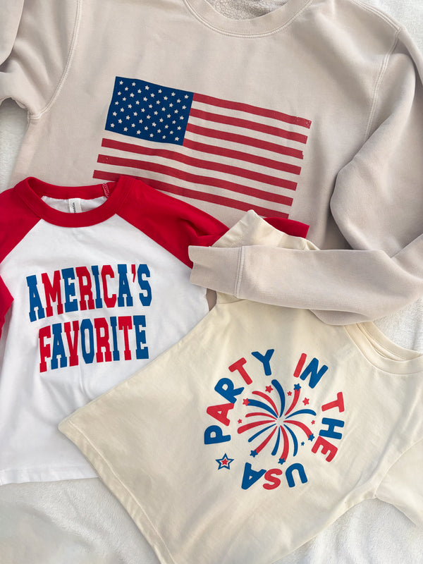Flag Sweatshirt (FINAL SALE)