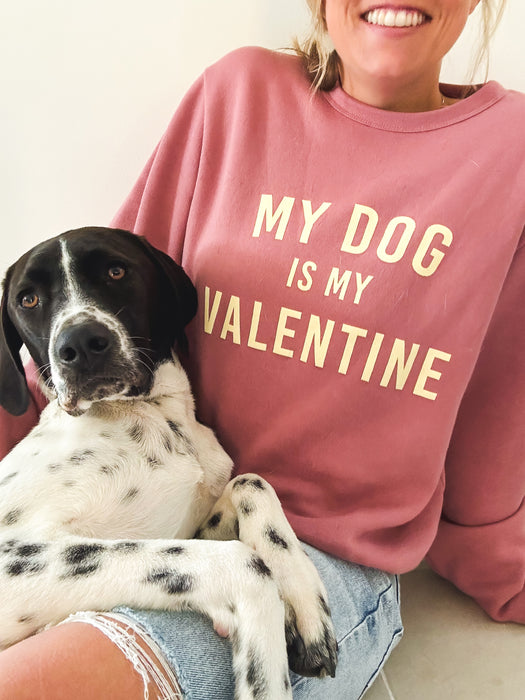 Dog Valentine sweatshirt