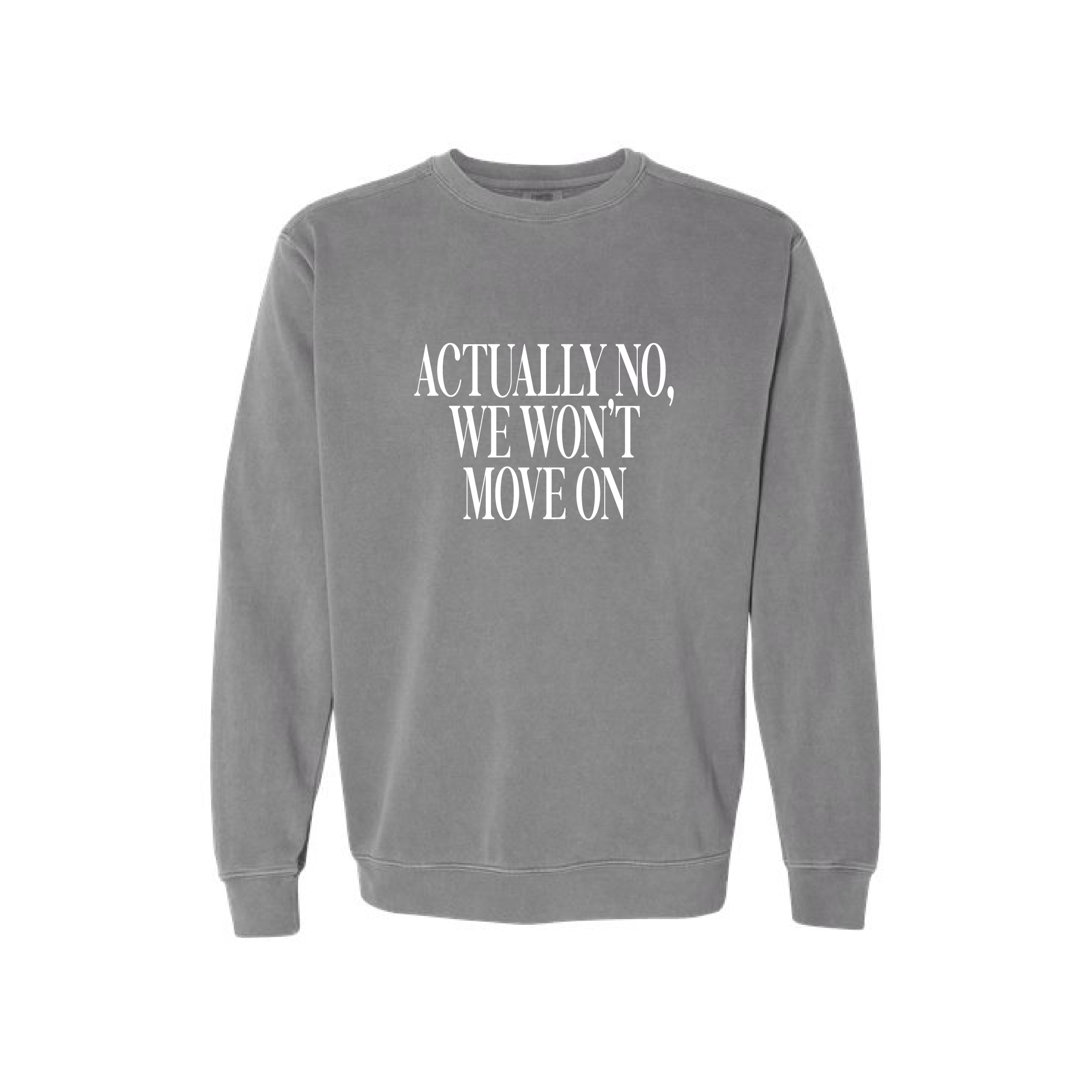 Sweatshirt mock of "actually no, we wono't move on"